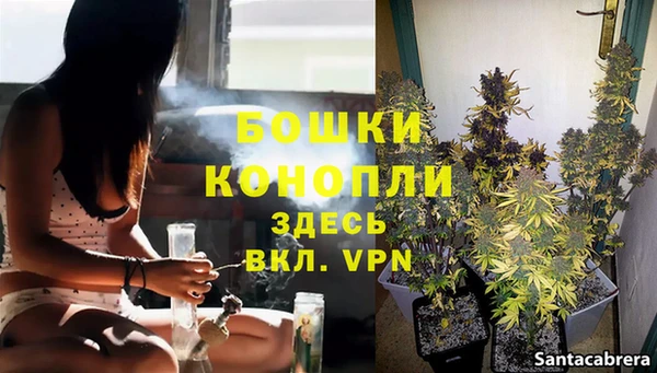 прущие грибы Липки