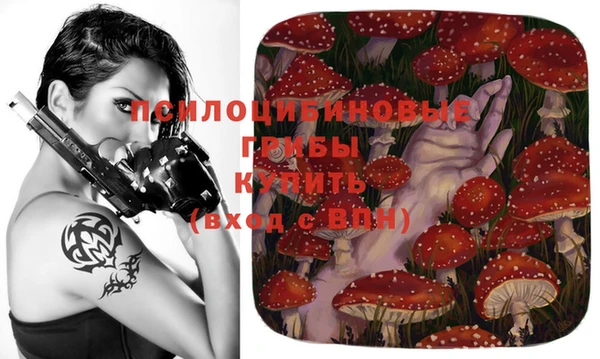 ГАЛЛЮЦИНОГЕННЫЕ ГРИБЫ Лихославль