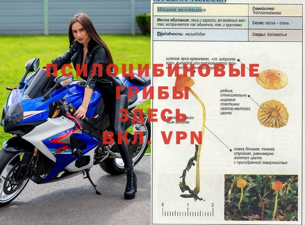 ешки Лиски