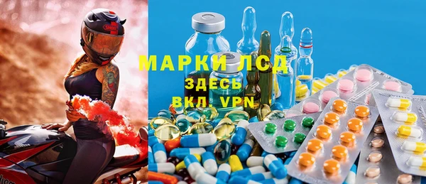 ГАЛЛЮЦИНОГЕННЫЕ ГРИБЫ Лихославль