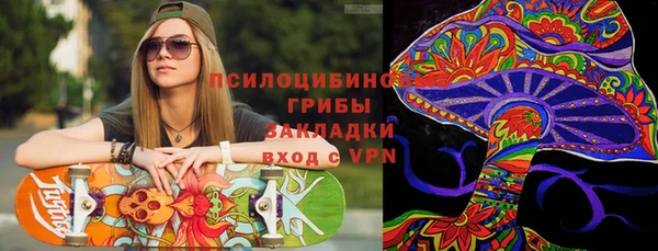 прущие грибы Липки