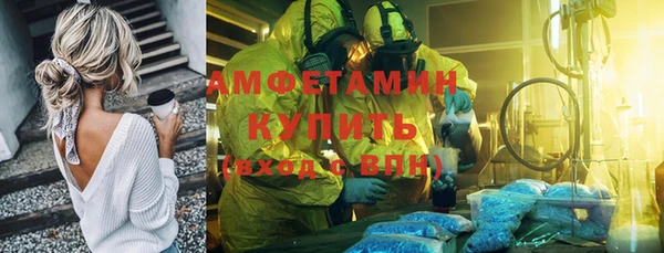 прущие грибы Липки