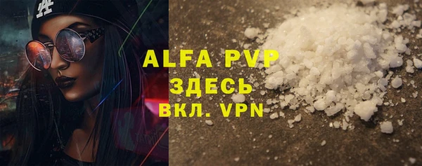 прущие грибы Липки